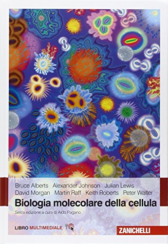 30 Le migliori recensioni di Biologia Molecolare Della Cellula testate e qualificate con guida all’acquisto