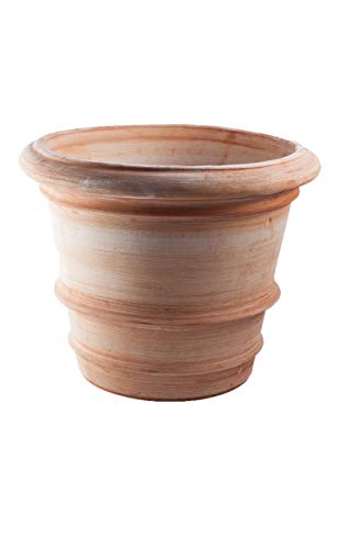 30 Le migliori recensioni di Vaso In Terracotta testate e qualificate con guida all’acquisto